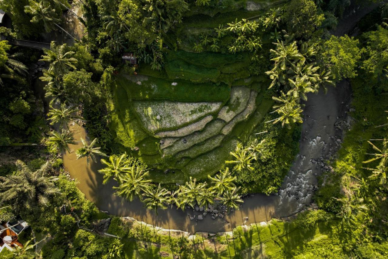 Вилла The Ridge Bali Убуд Экстерьер фото